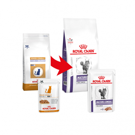 Royal canin senior 2024 stage 1 balance